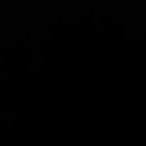 Meet your Posher, Mia